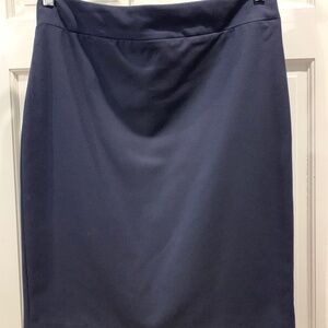 Navy skirt